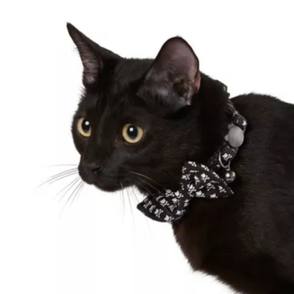 Whisker City Exclusive Crossbones Bow Tie Easy Release Adult Cat Collar NWT